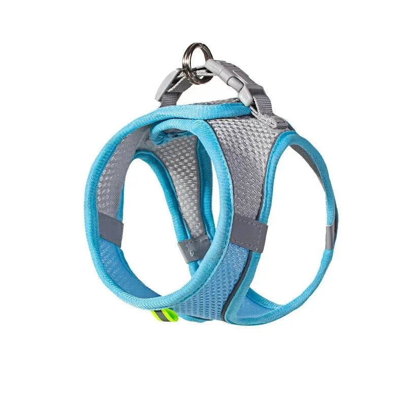 Breathable Adjustable Dog Harness for Everyday Walks – ControlWorks™