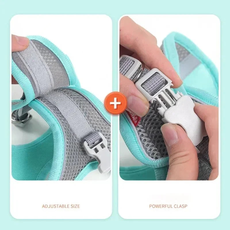 Breathable Adjustable Dog Harness for Everyday Walks – ControlWorks™