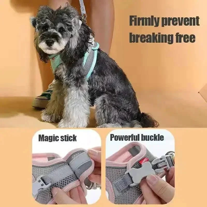 Breathable Adjustable Dog Harness for Everyday Walks – ControlWorks™