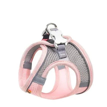 Breathable Adjustable Dog Harness for Everyday Walks – ControlWorks™