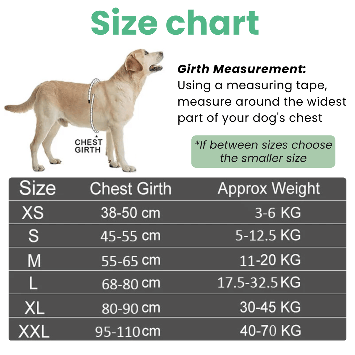 Reflective Adjustable Dog Harness – FlexSelect™