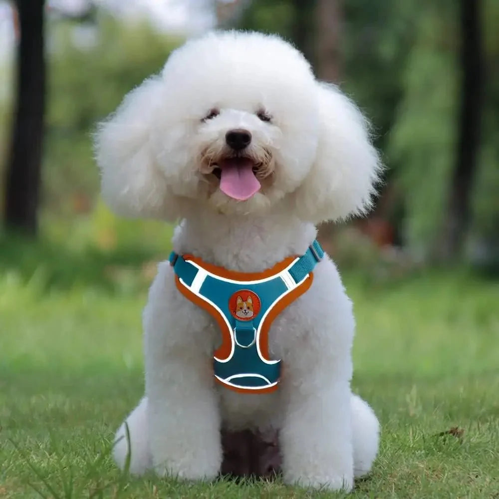Reflective Nylon Dog & Cat Harness – TrekMotion™