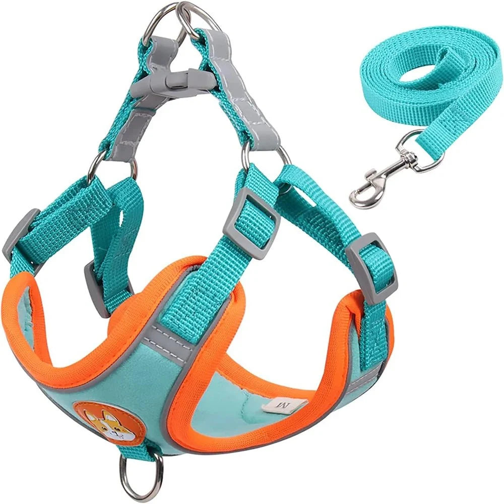Reflective Nylon Dog & Cat Harness – TrekMotion™