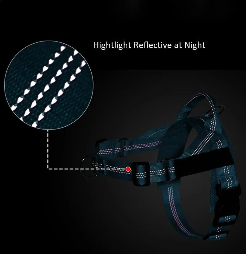 Reflective Adjustable Dog Harness – RouteCore™