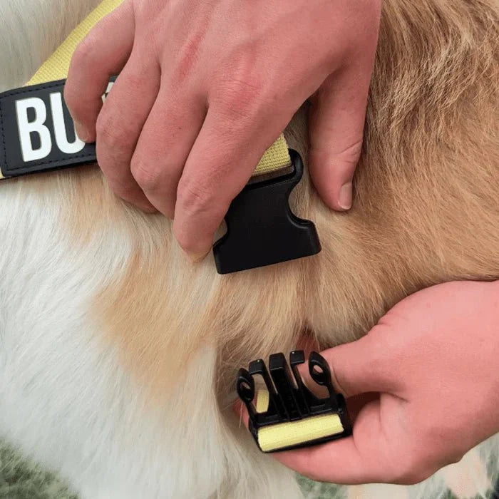 Reflective Adjustable Dog Harness – RouteCore™