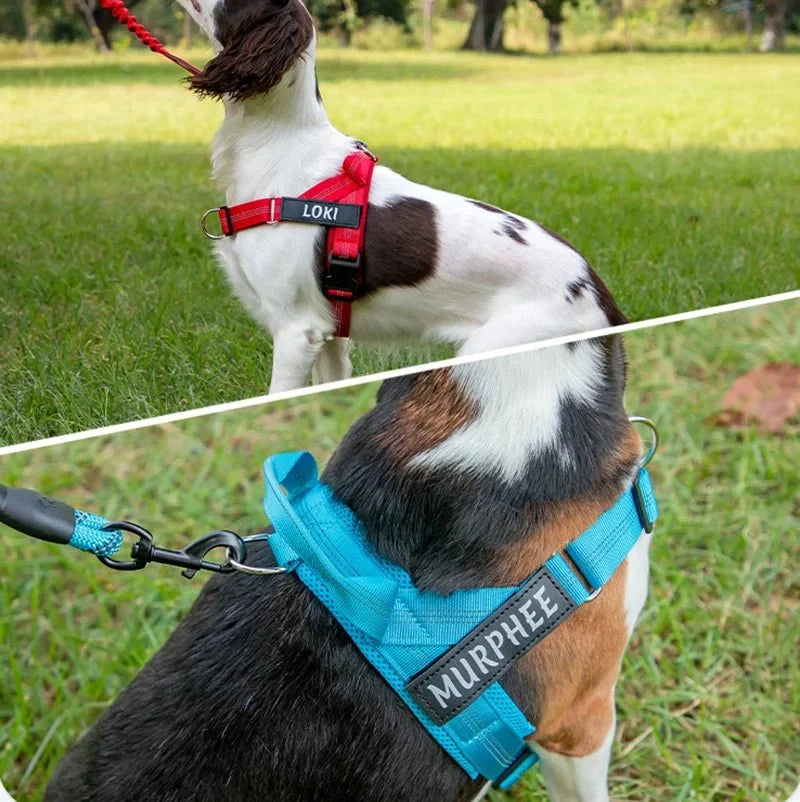 Reflective Adjustable Dog Harness – RouteCore™