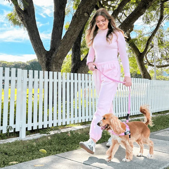 Reflective Adjustable Dog Harness – RouteCore™