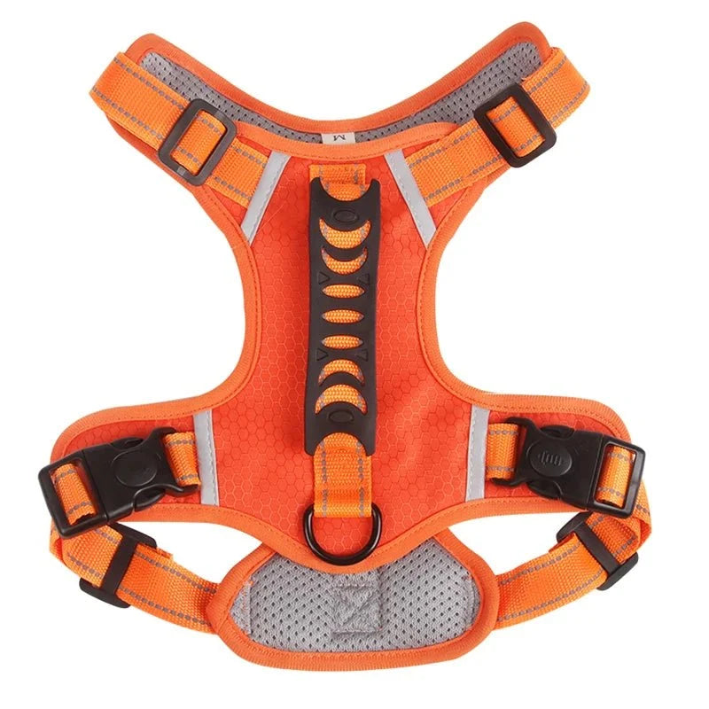 Reflective Adjustable Nylon Dog Harness – TrailGuard™