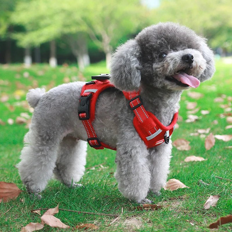 Reflective Adjustable Nylon Dog Harness – TrailGuard™