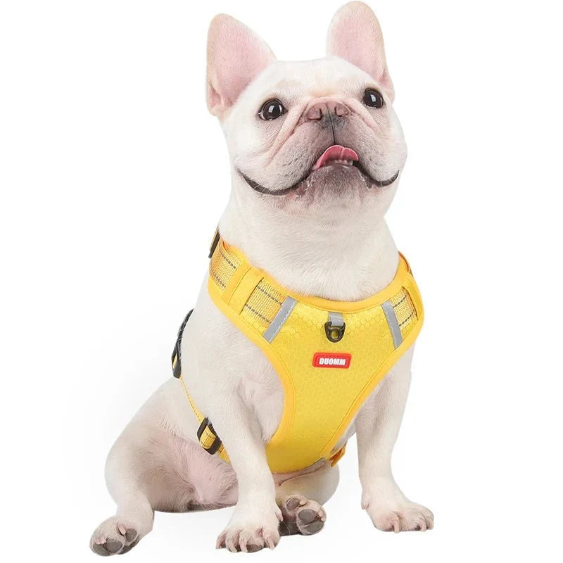 Reflective Adjustable Nylon Dog Harness – TrailGuard™