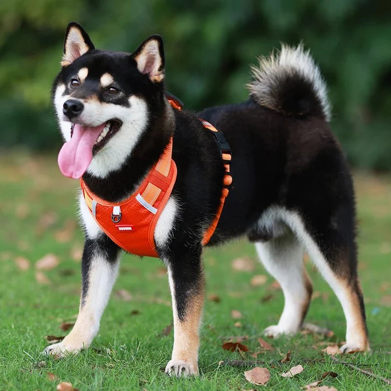 Reflective Adjustable Nylon Dog Harness – TrailGuard™