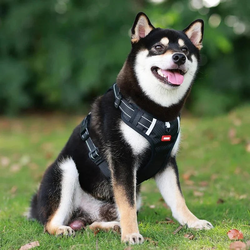 Reflective Adjustable Nylon Dog Harness – TrailGuard™