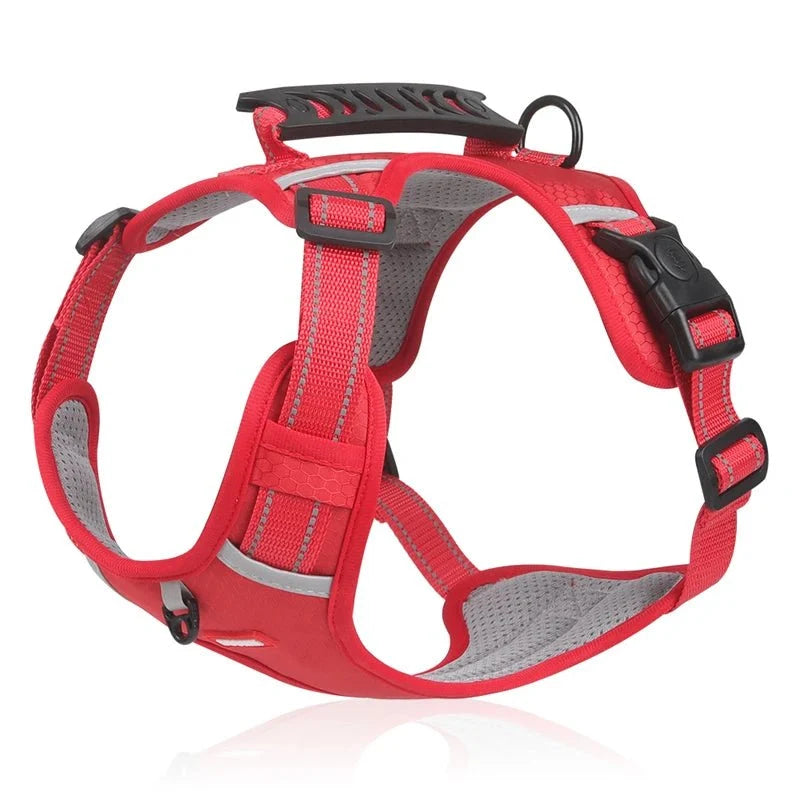 Reflective Adjustable Nylon Dog Harness – TrailGuard™