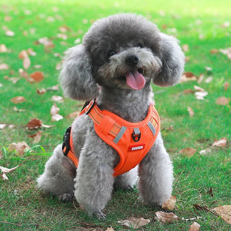 Reflective Adjustable Nylon Dog Harness – TrailGuard™