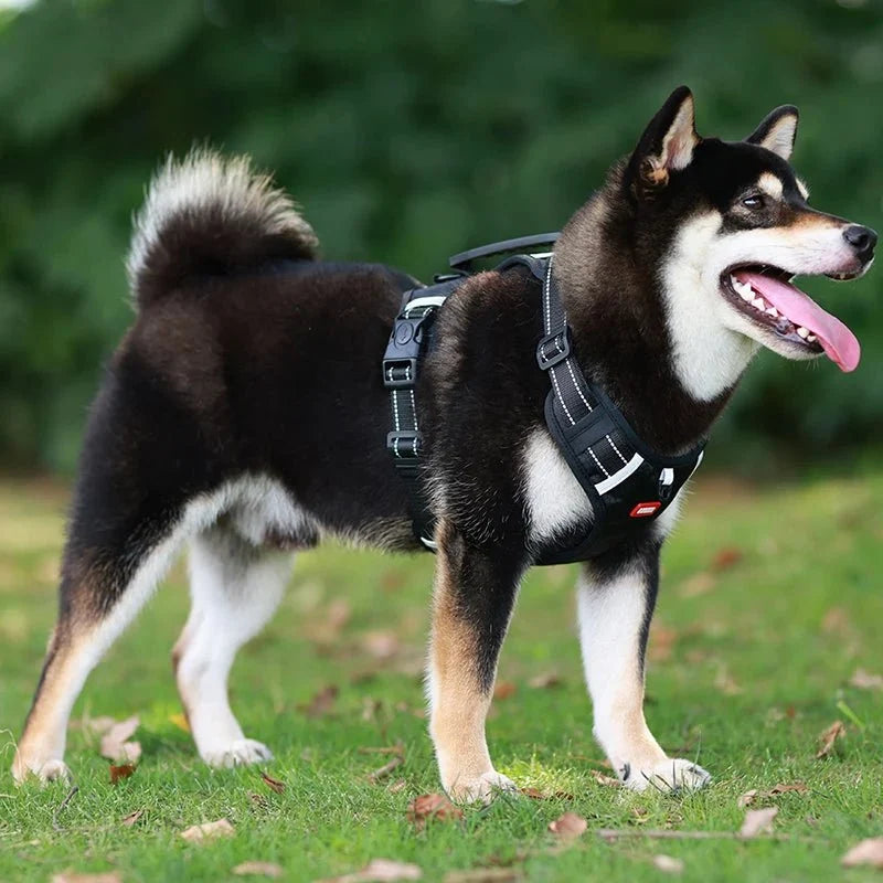 Reflective Adjustable Nylon Dog Harness – TrailGuard™