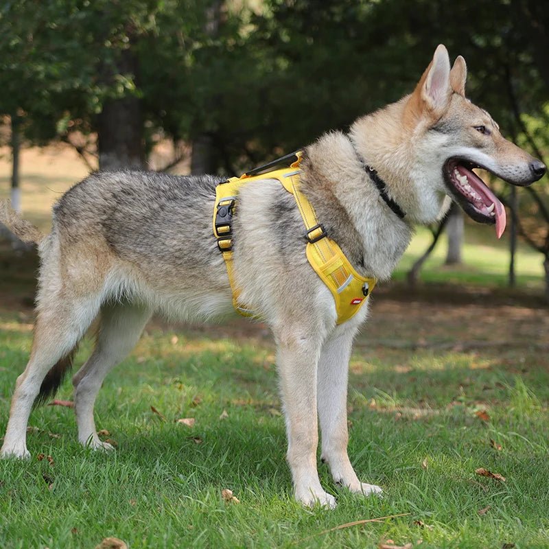 Reflective Adjustable Nylon Dog Harness – TrailGuard™