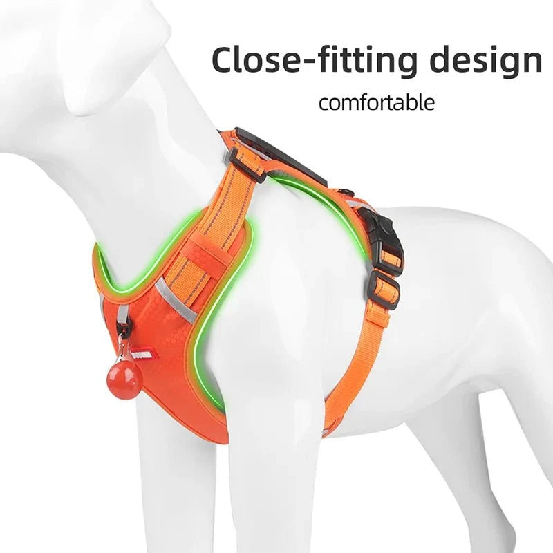 Reflective Adjustable Nylon Dog Harness – TrailGuard™