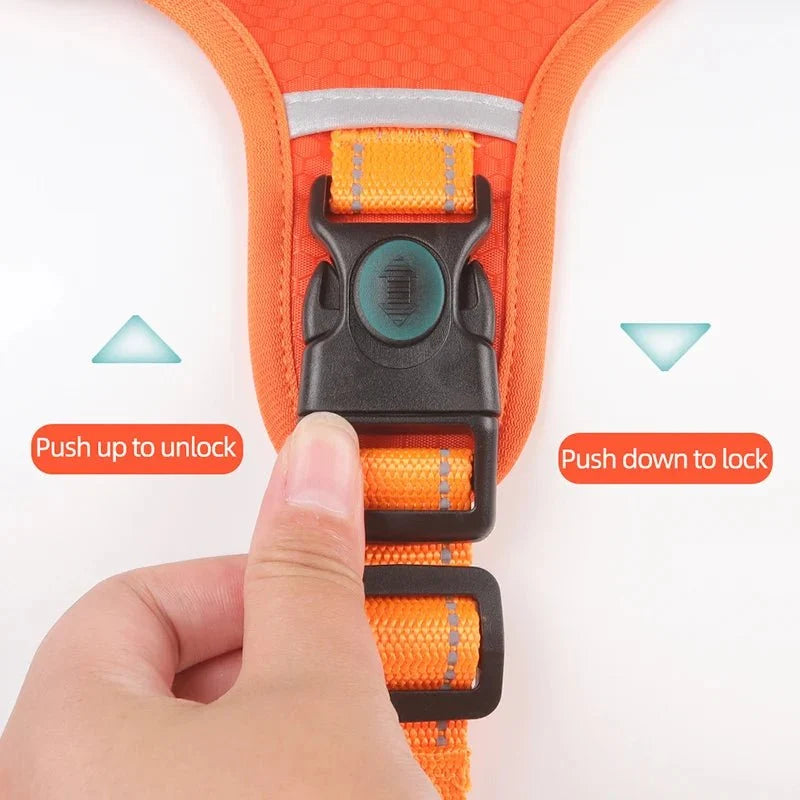 Reflective Adjustable Nylon Dog Harness – TrailGuard™