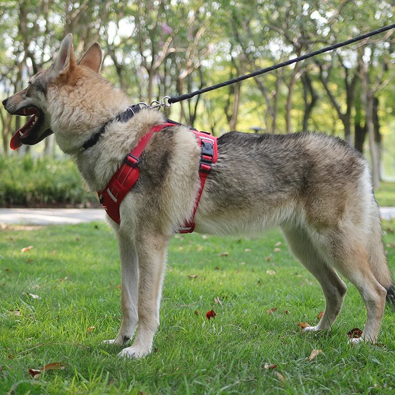 Reflective Adjustable Nylon Dog Harness – TrailGuard™