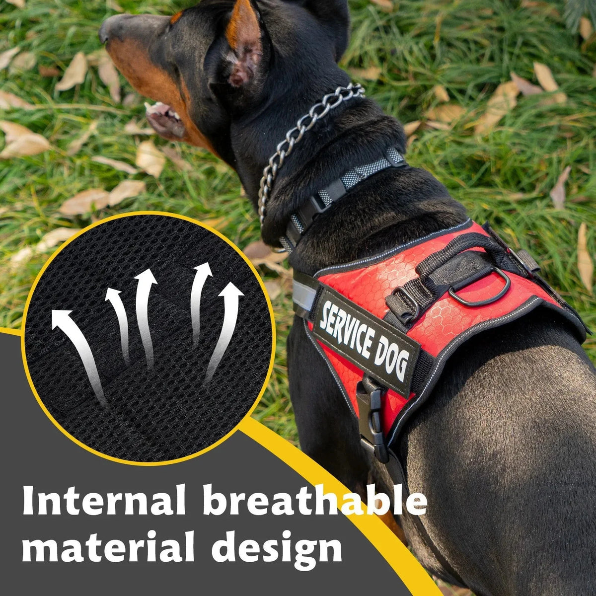 Reflective Adjustable Dog Harness – RoutePath™