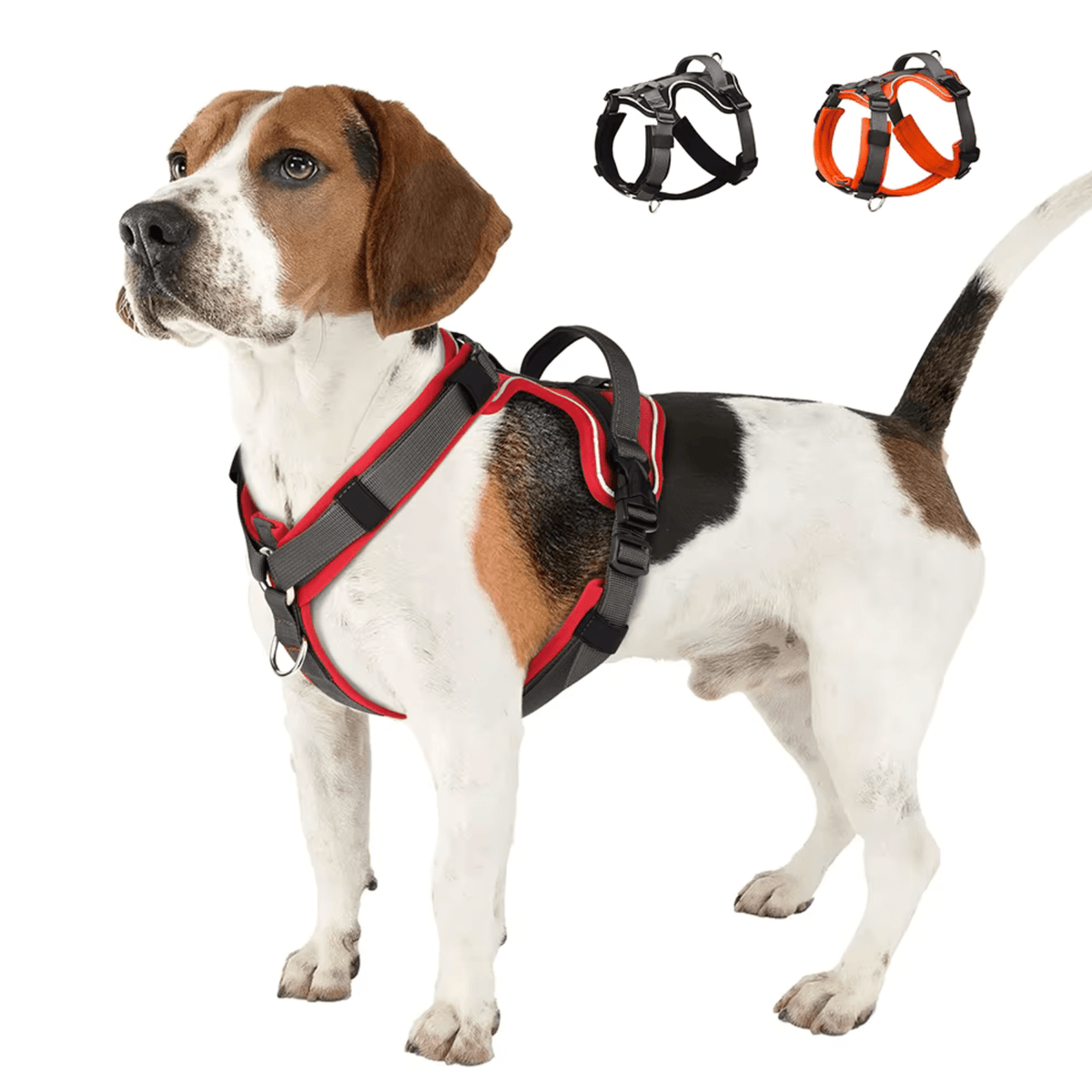 Tailented WalkJoy™ – Dog Harness for Everyday Walks