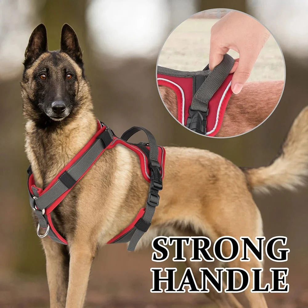 Tailented WalkJoy™ – Dog Harness for Everyday Walks