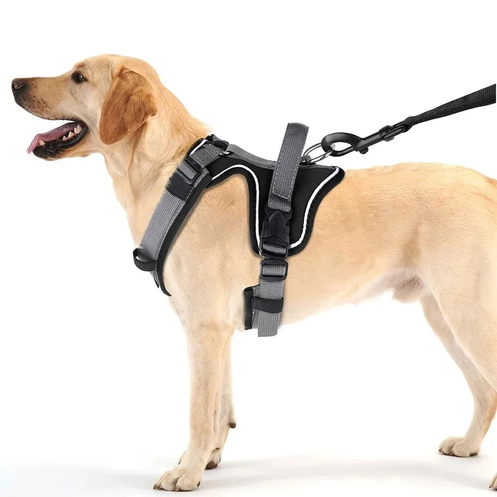Tailented WalkJoy™ – Dog Harness for Everyday Walks