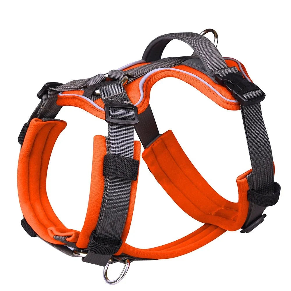 Tailented WalkJoy™ – Dog Harness for Everyday Walks