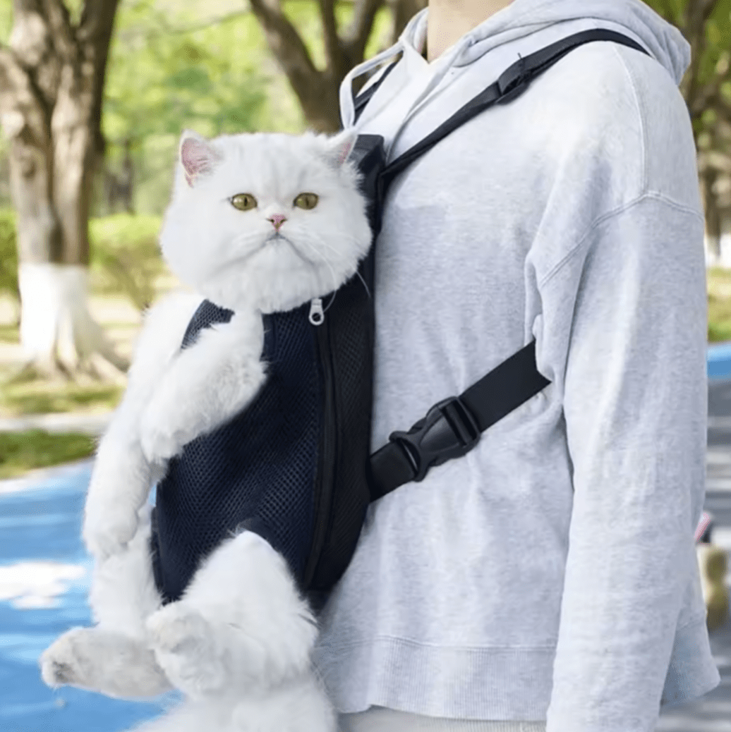 Pet Carrier Backpack for Dogs & Cats – TravelWave™