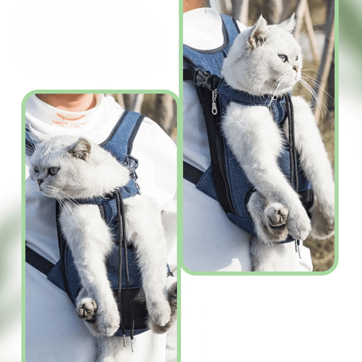 Pet Carrier Backpack for Dogs & Cats – TravelWave™