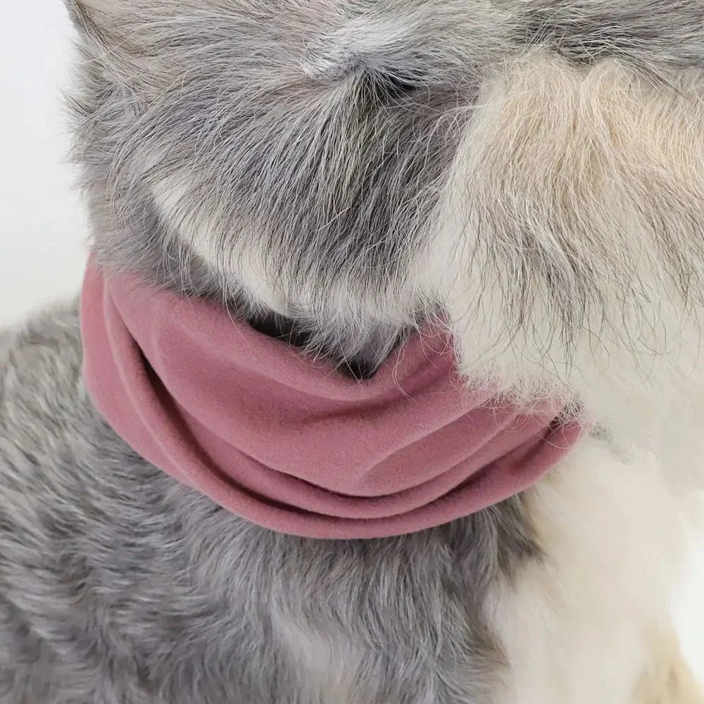 Warm Dog Snood with Ear Protection – ShieldPaws™