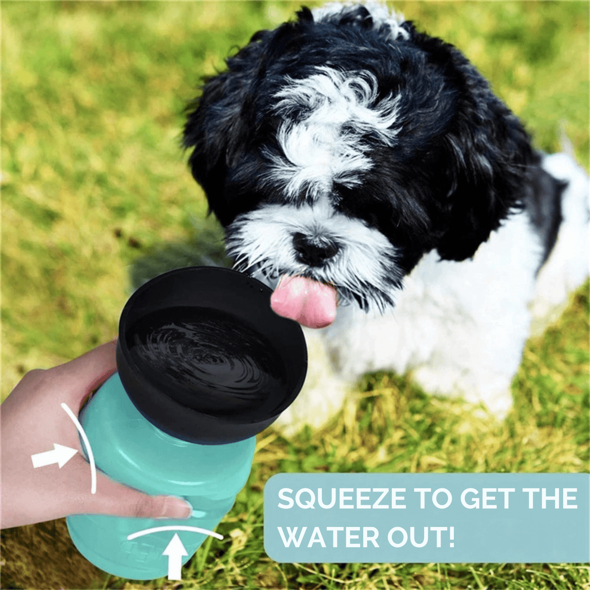 Portable Pet Water Bottle – FlowFlow™