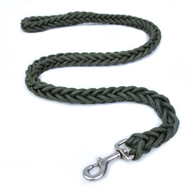 Heavy-Duty Nylon Dog Leash – FlexGlow™