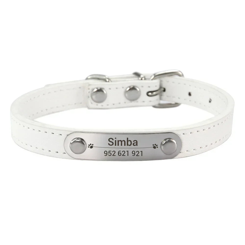 Personalised Stainless Steel Nameplate Pet Collar – ControlAdventure™