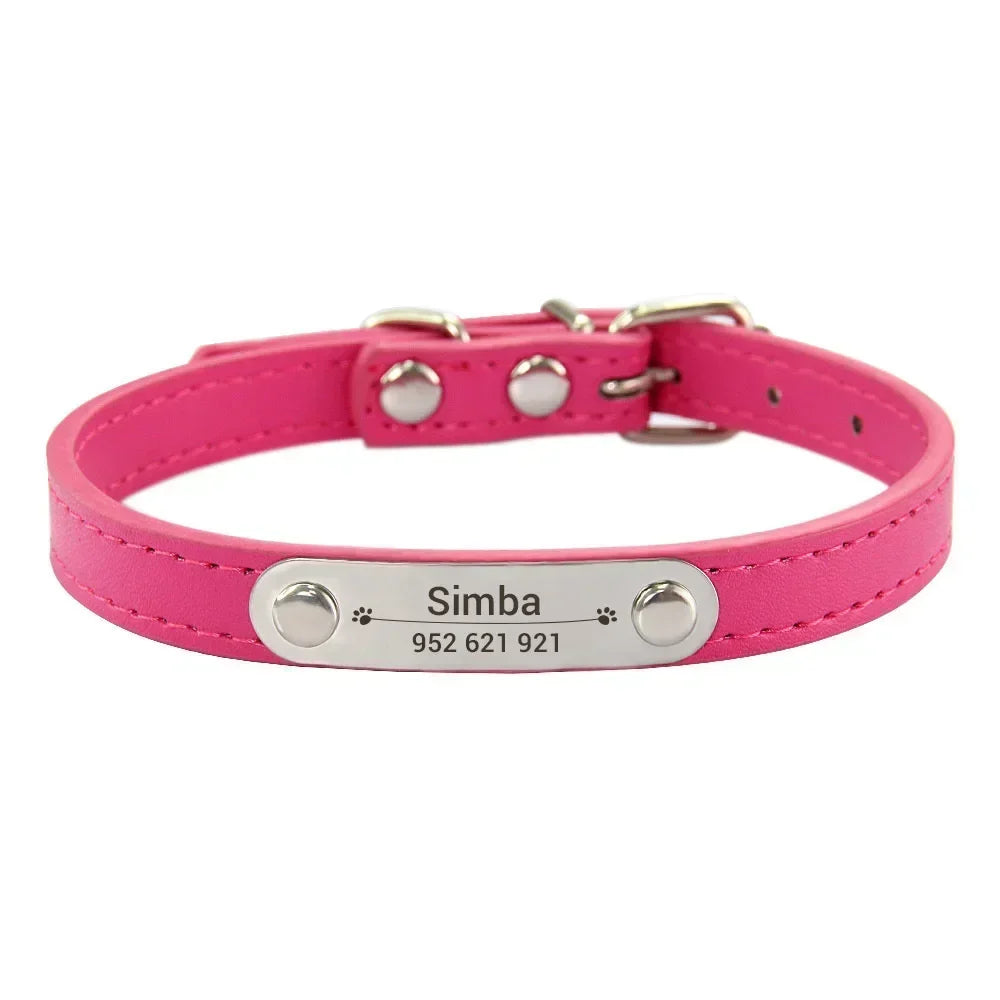 Personalised Stainless Steel Nameplate Pet Collar – ControlAdventure™