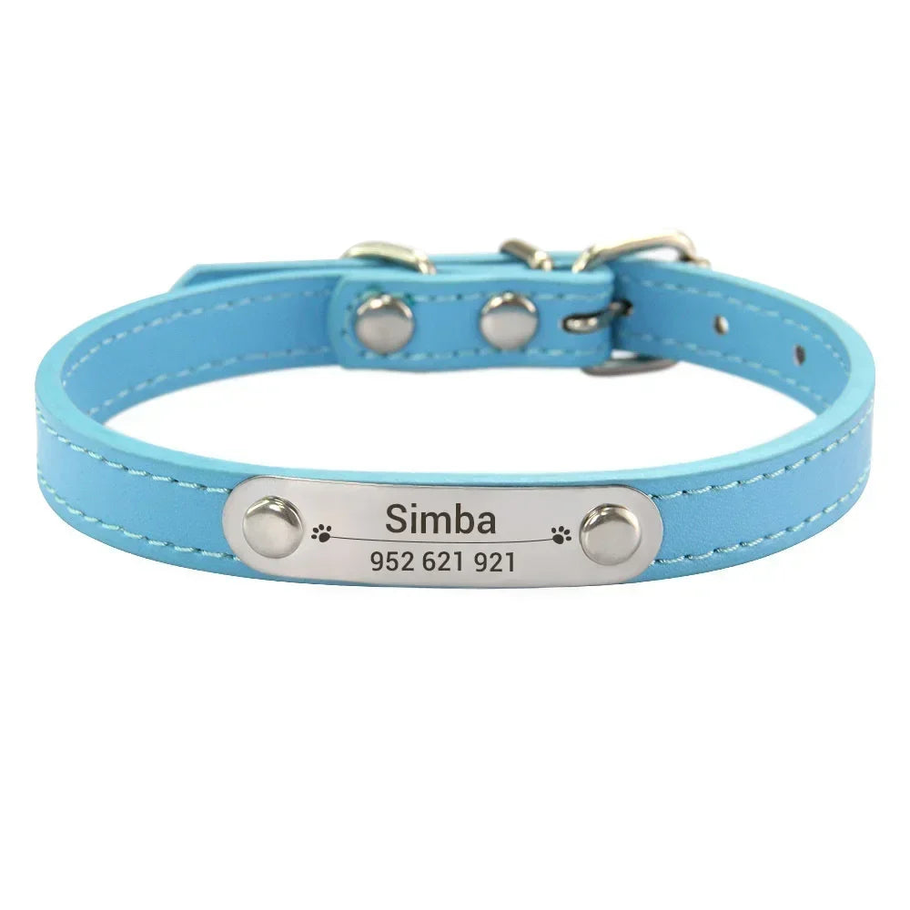 Personalised Stainless Steel Nameplate Pet Collar – ControlAdventure™