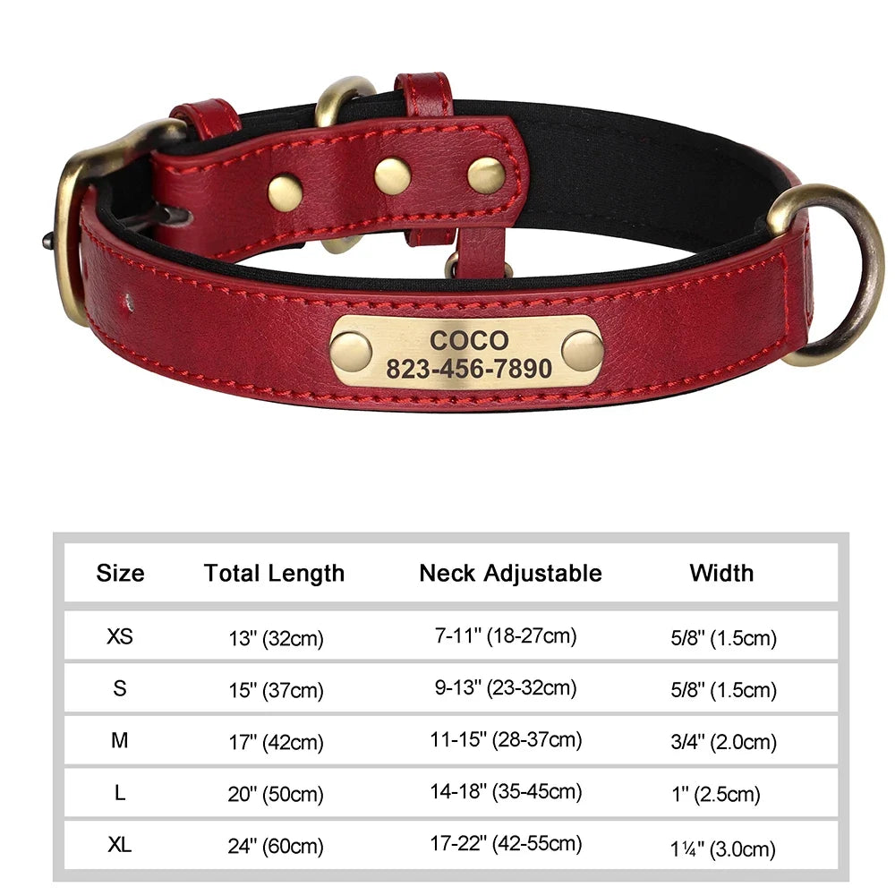 Tailented PawLink™ – Adjustable Dog Collar for Everyday Wear & Walking