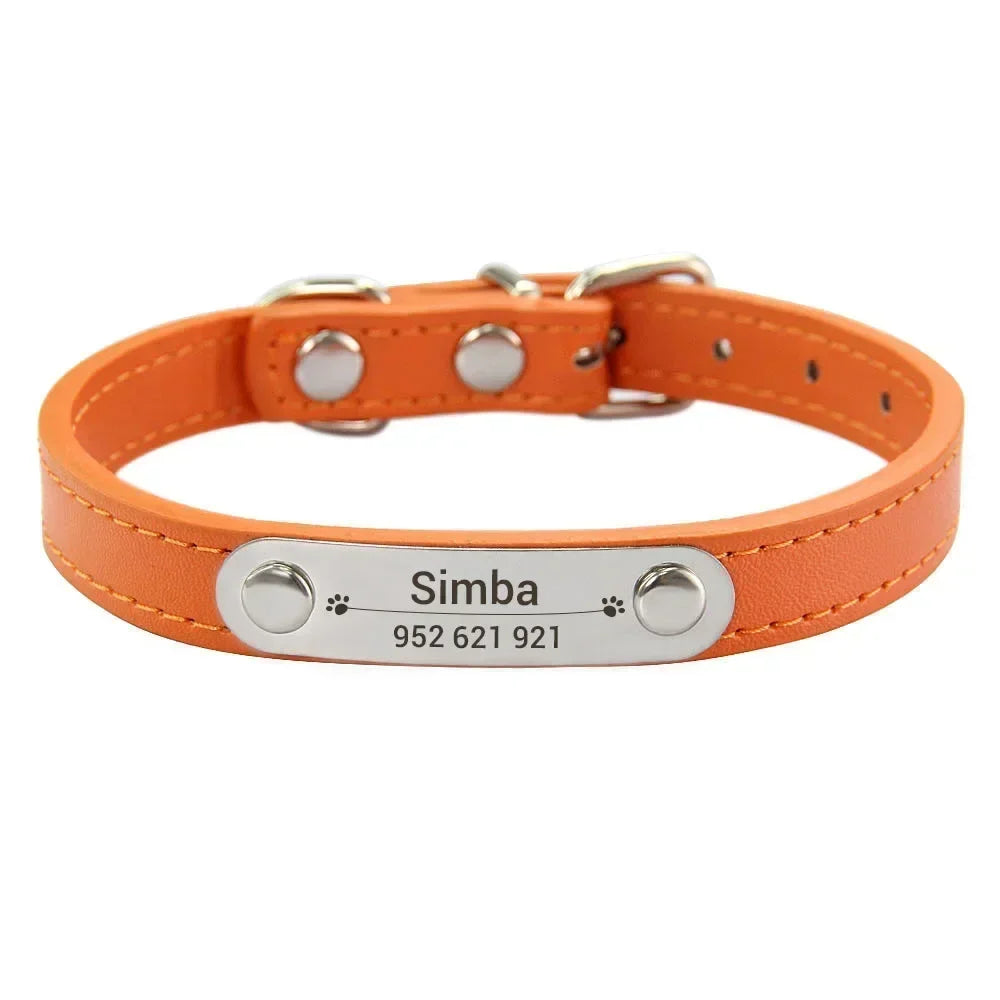 Personalised Stainless Steel Nameplate Pet Collar – ControlAdventure™