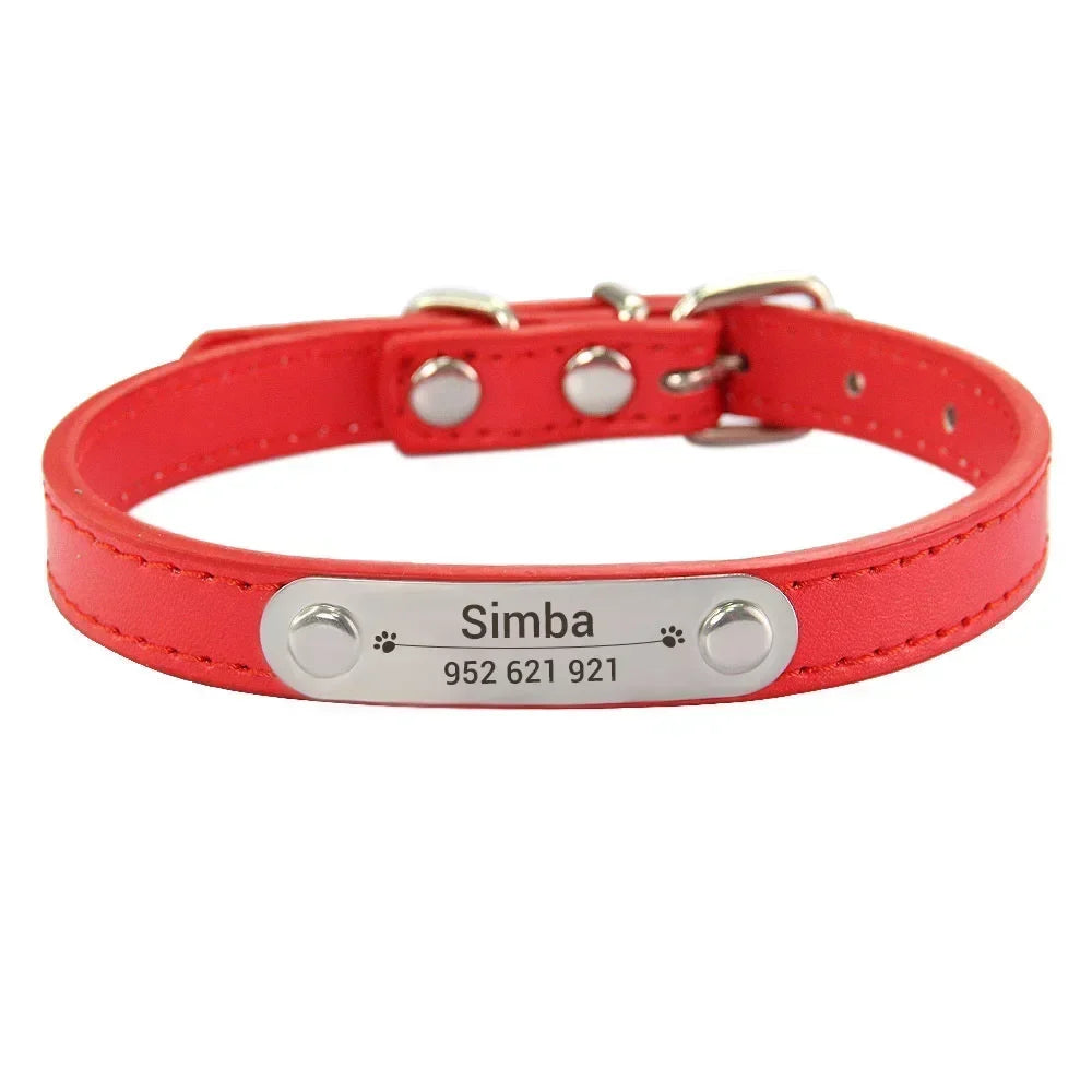 Personalised Stainless Steel Nameplate Pet Collar – ControlAdventure™