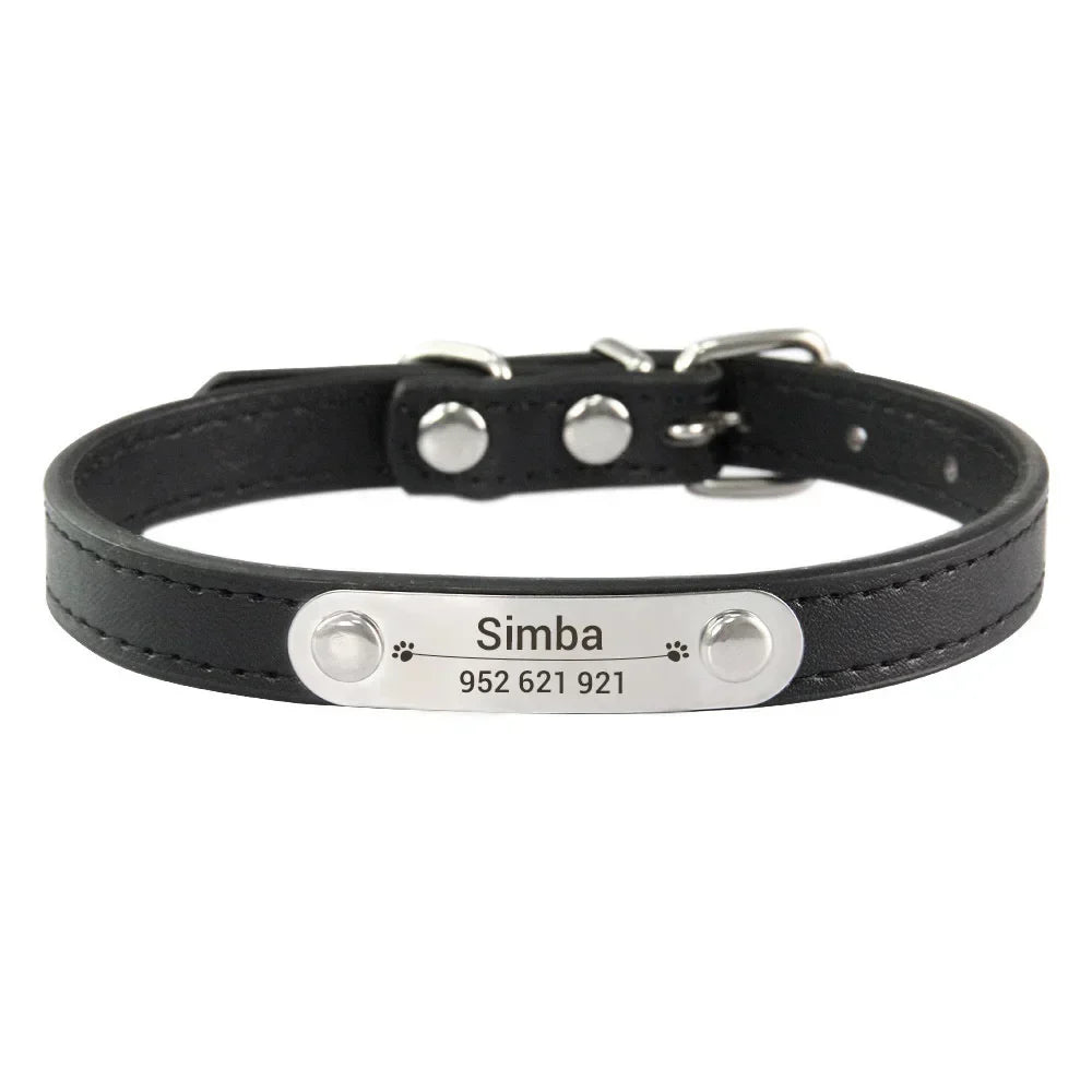 Personalised Stainless Steel Nameplate Pet Collar – ControlAdventure™