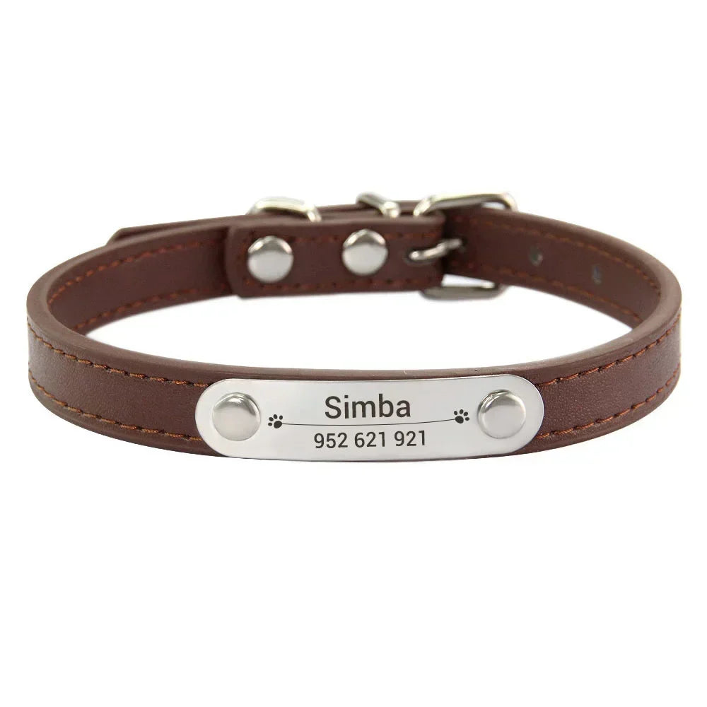 Personalised Stainless Steel Nameplate Pet Collar – ControlAdventure™