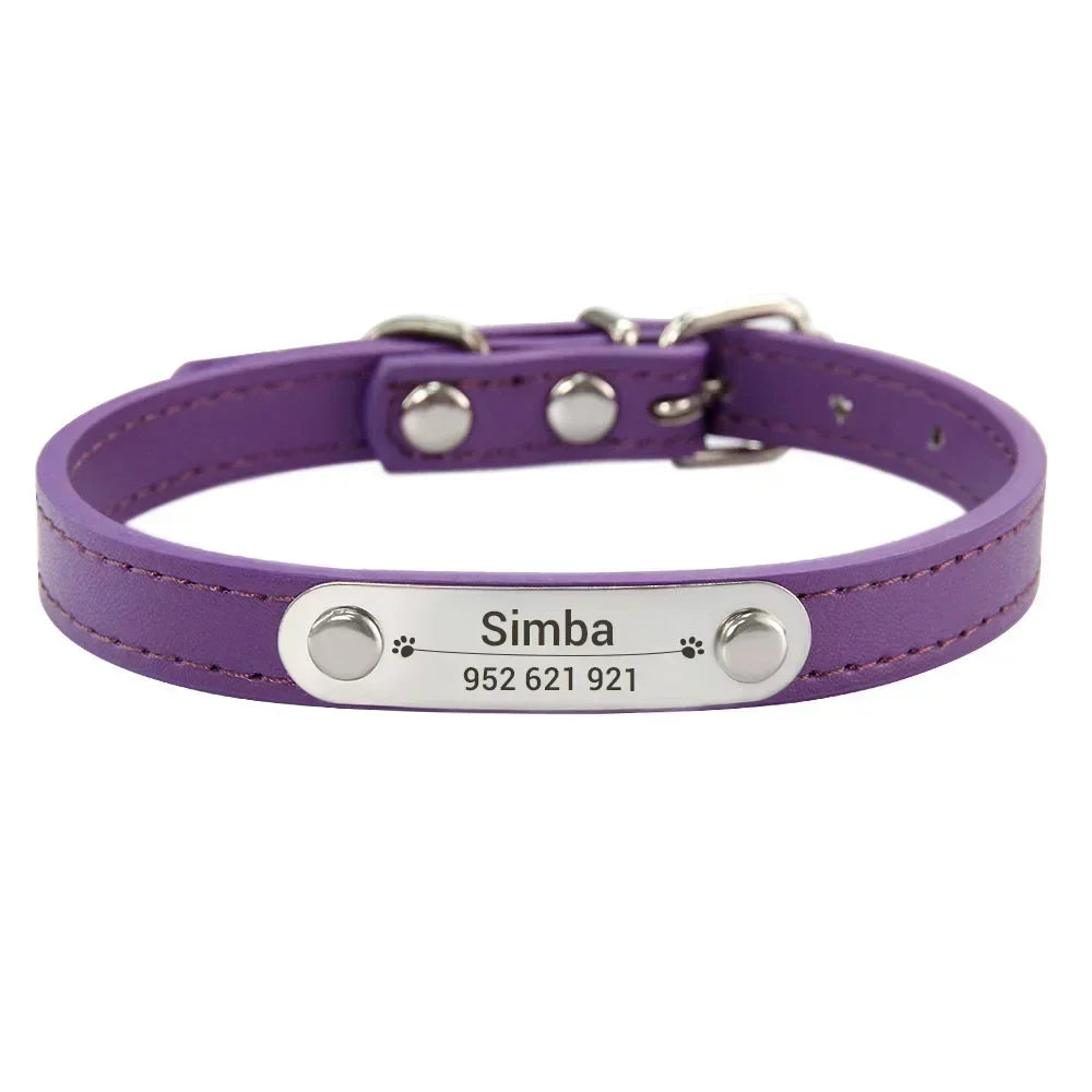 Personalised Stainless Steel Nameplate Pet Collar – ControlAdventure™