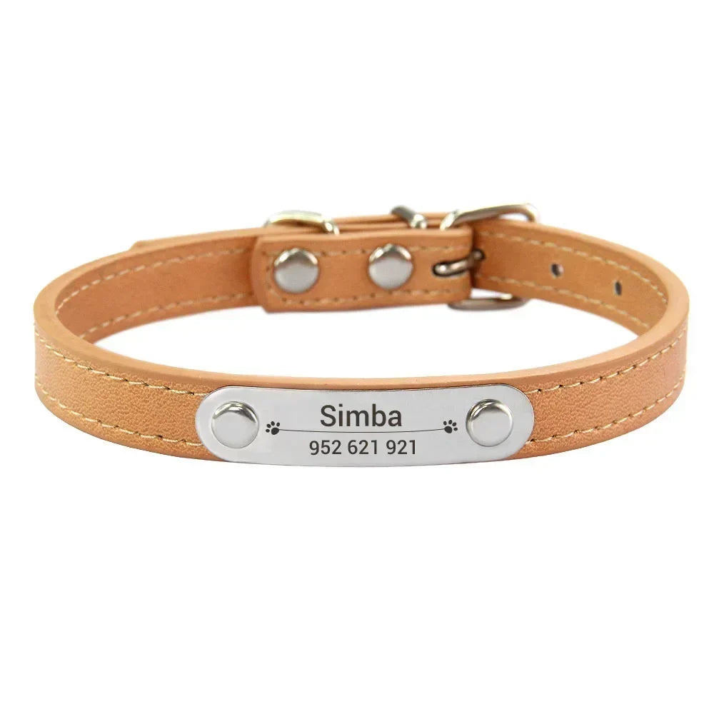 Personalised Stainless Steel Nameplate Pet Collar – ControlAdventure™
