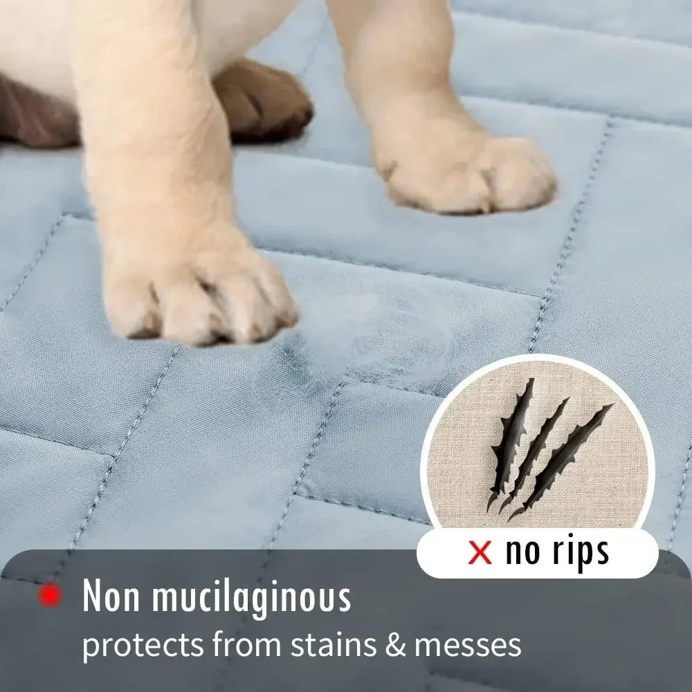 Waterproof Pet Protection Blanket – SoftPort™