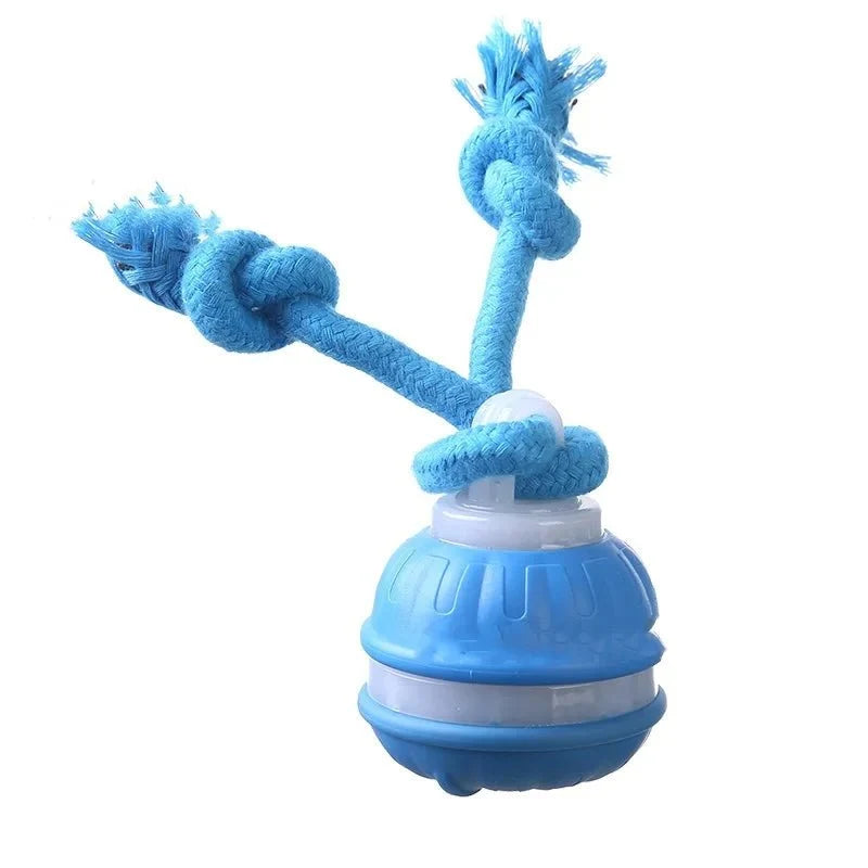 Automatic Interactive Ball Toy for Dogs – JoyView™