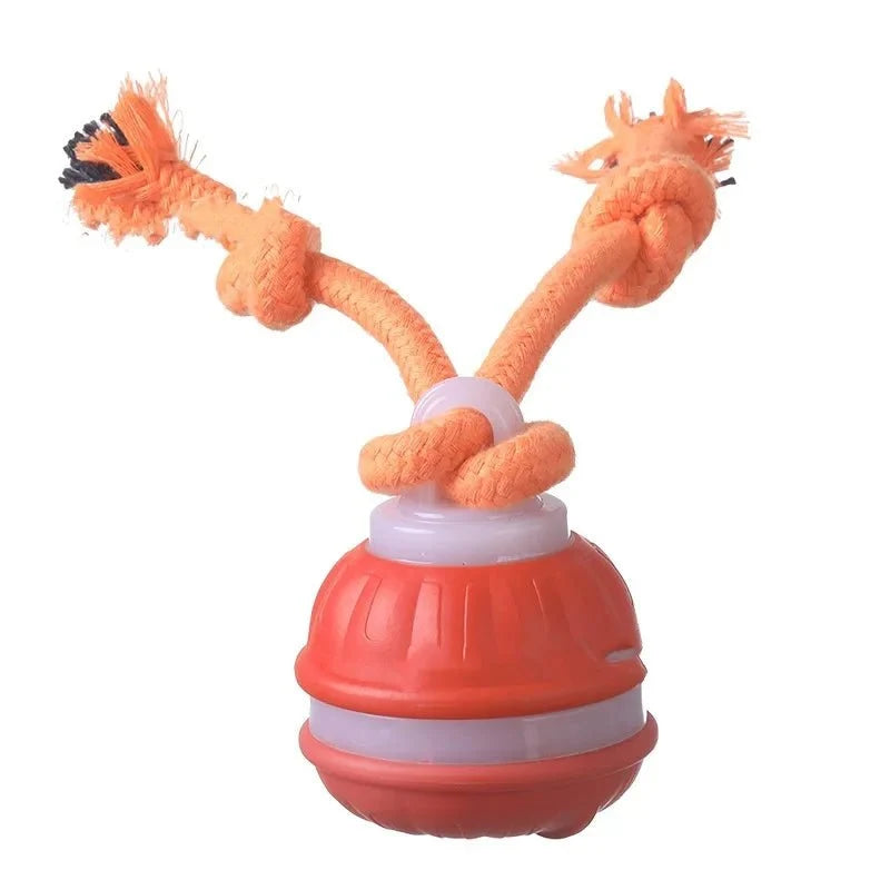 Automatic Interactive Ball Toy for Dogs – JoyView™