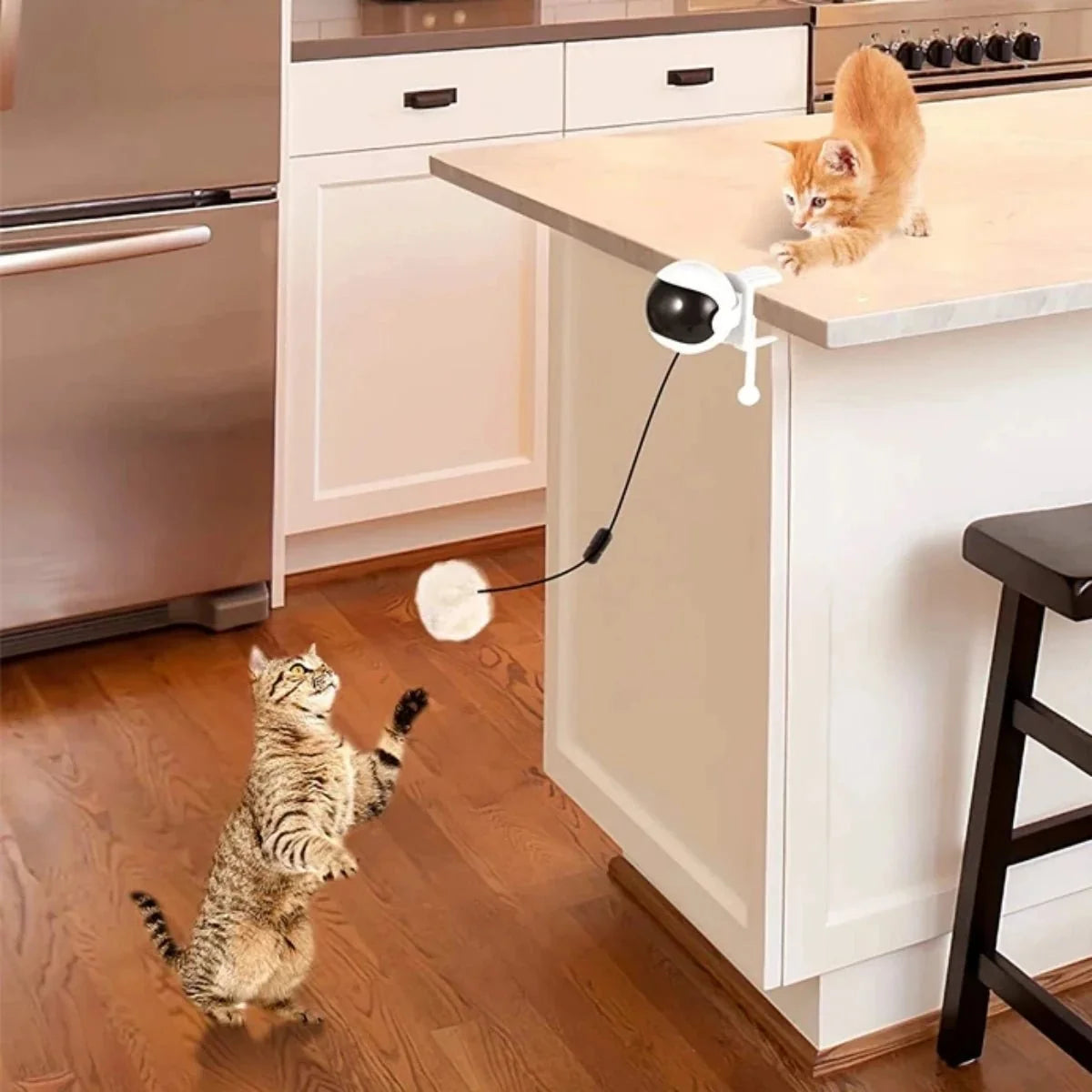 Automatic Interactive Ball Toy for Cats – PlayPort™
