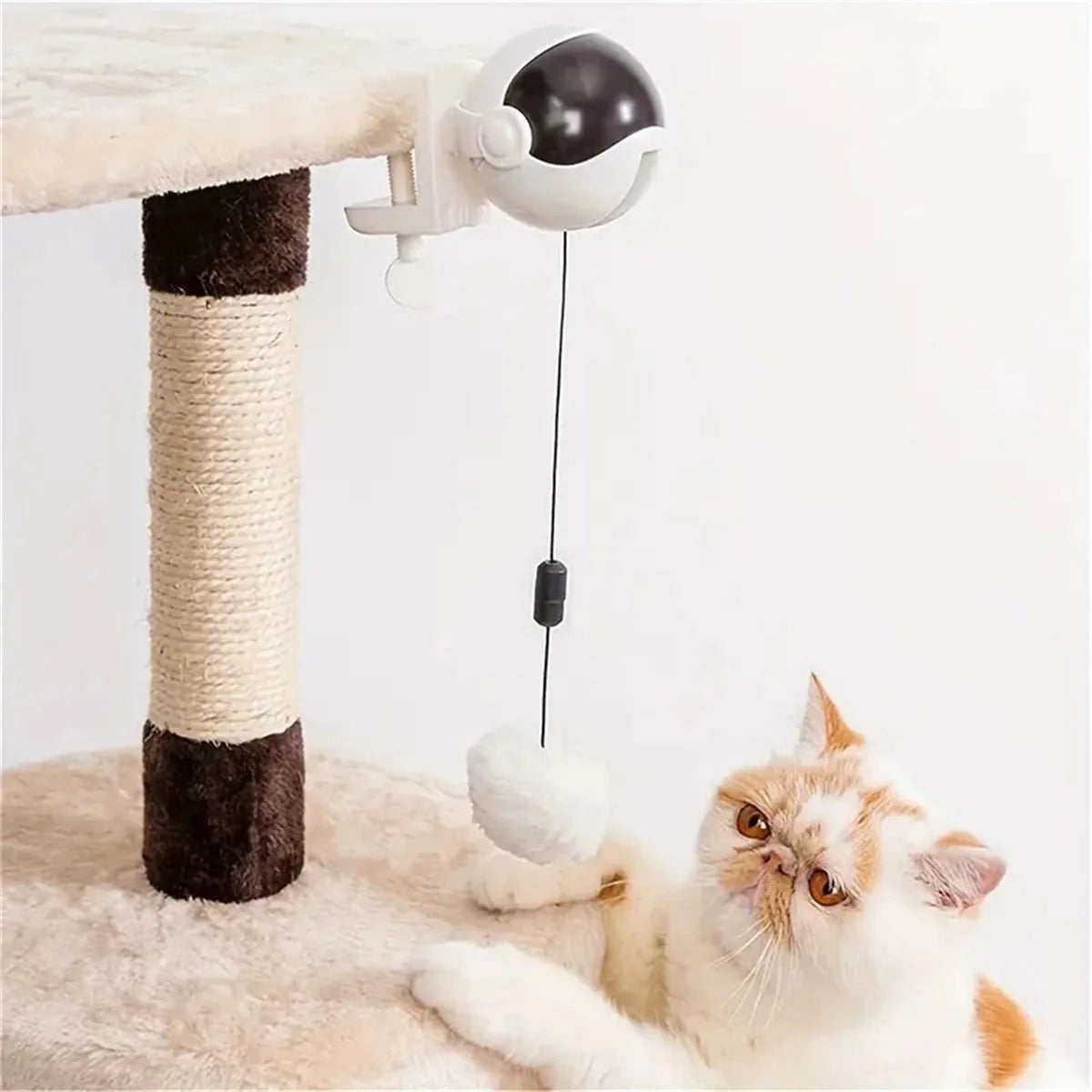 Automatic Interactive Ball Toy for Cats – PlayPort™