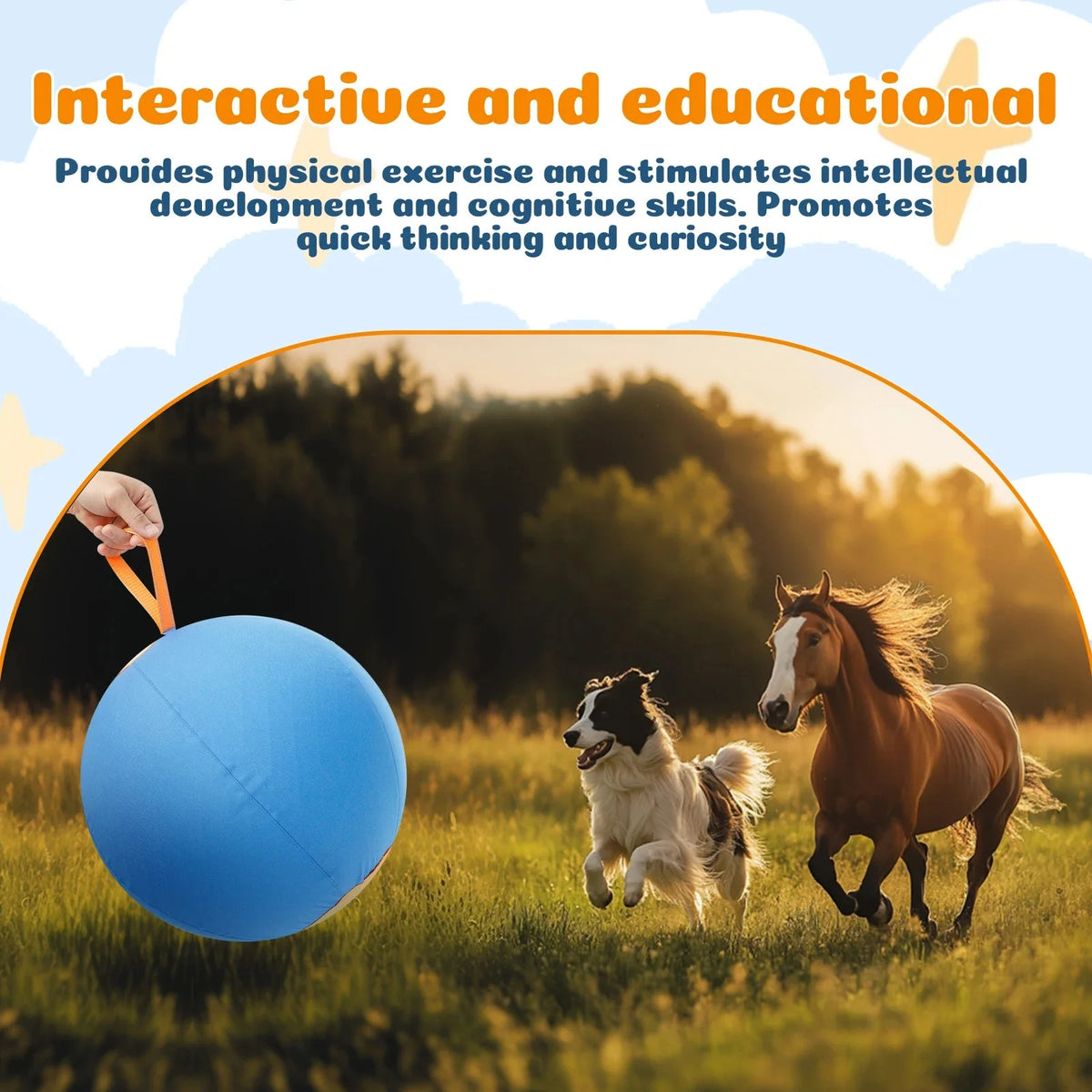 Interactive Herding Ball for Active Dogs – PawDaily™