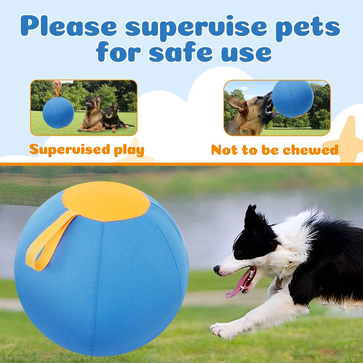 Interactive Herding Ball for Active Dogs – PawDaily™